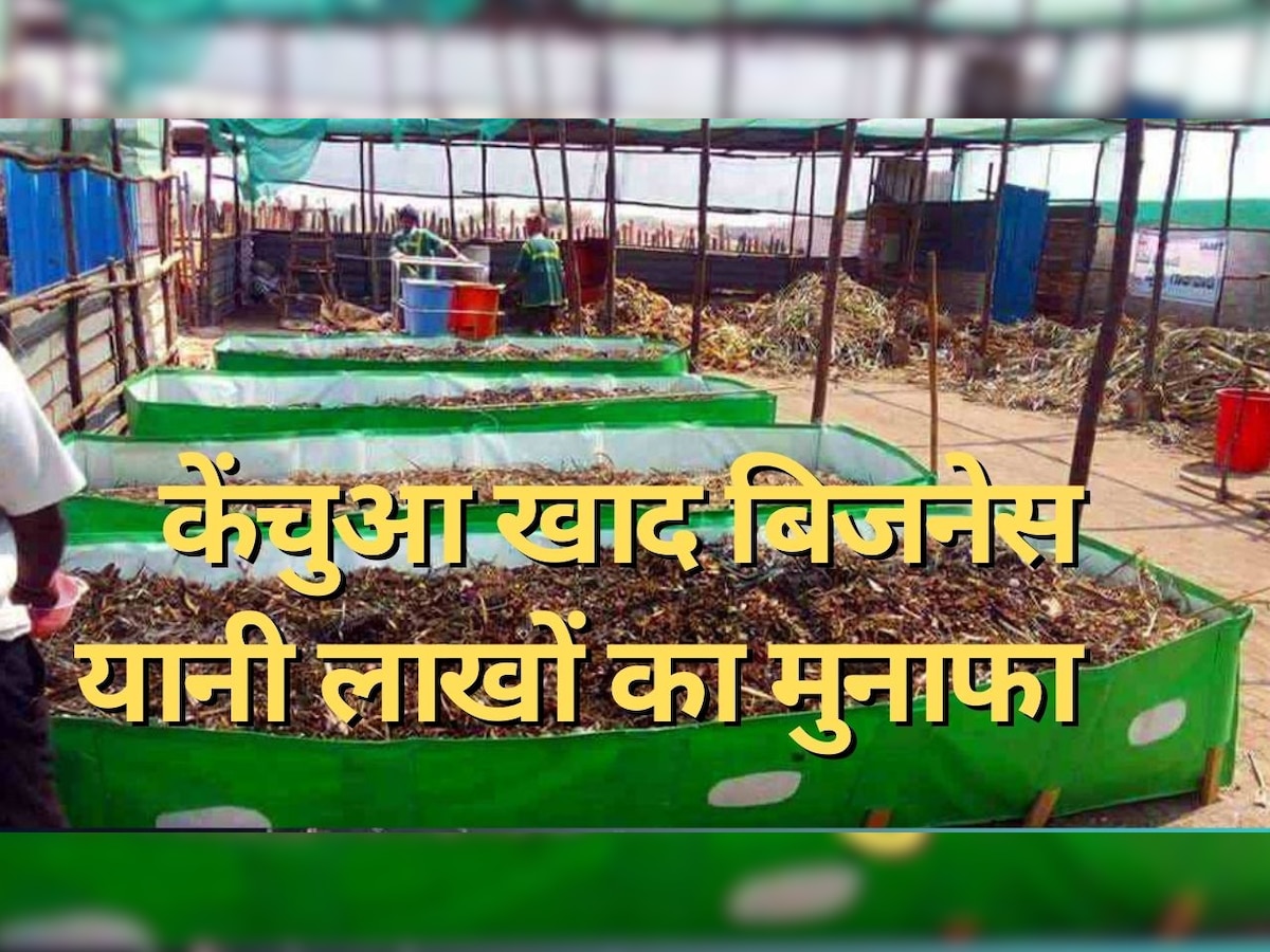 Business Idea: केवल 50 हजार में केंचुआ खाद का बिजनेस शुरू कर लाखों की कमाई, यहां जाने शुरू करने का पूरा तरीका