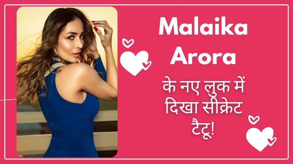 Malaika Arora Video: सिर्फ ब्रा पहने मलाइका ने दिखाईं अदाएं, वीडियो में नजर आया कुछ ऐसा कि अटक गईं लोगों की निगाहें!