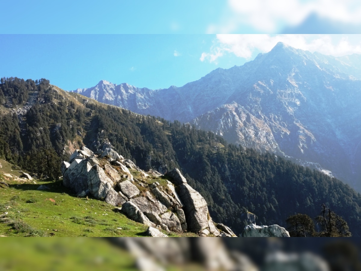 Himachal Tourist: हिमाचल में गर्मी बढ़ने से घटी पर्यटकों की संख्या, कारोबारियों की बढ़ी मुश्किलें