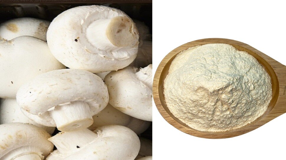 mushroom powder benifits Diseases of cancer diabetes go away health tips mushroom ke fayde apmp