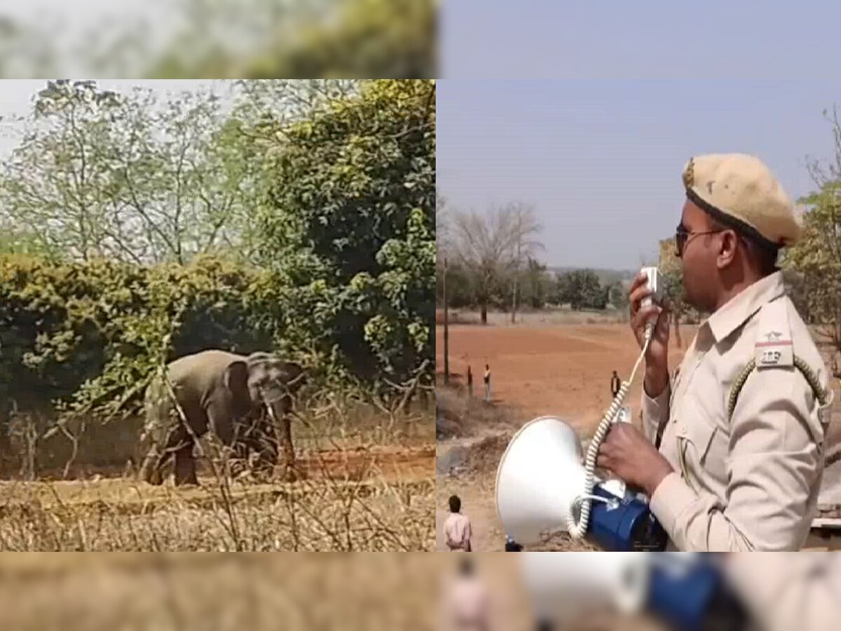 झारखंड में हाथियों का दहशत! 24 घंटे में 5 लोगों को पटक-पटककर मारा, रातभर जागते रहे गांव वाले