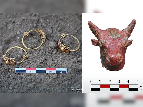 सऊदी अरब में खुदाई के दौरान मिले हिन्दू संस्कृति के साक्ष्य, नंदी के सिर की होती थी पूजा!