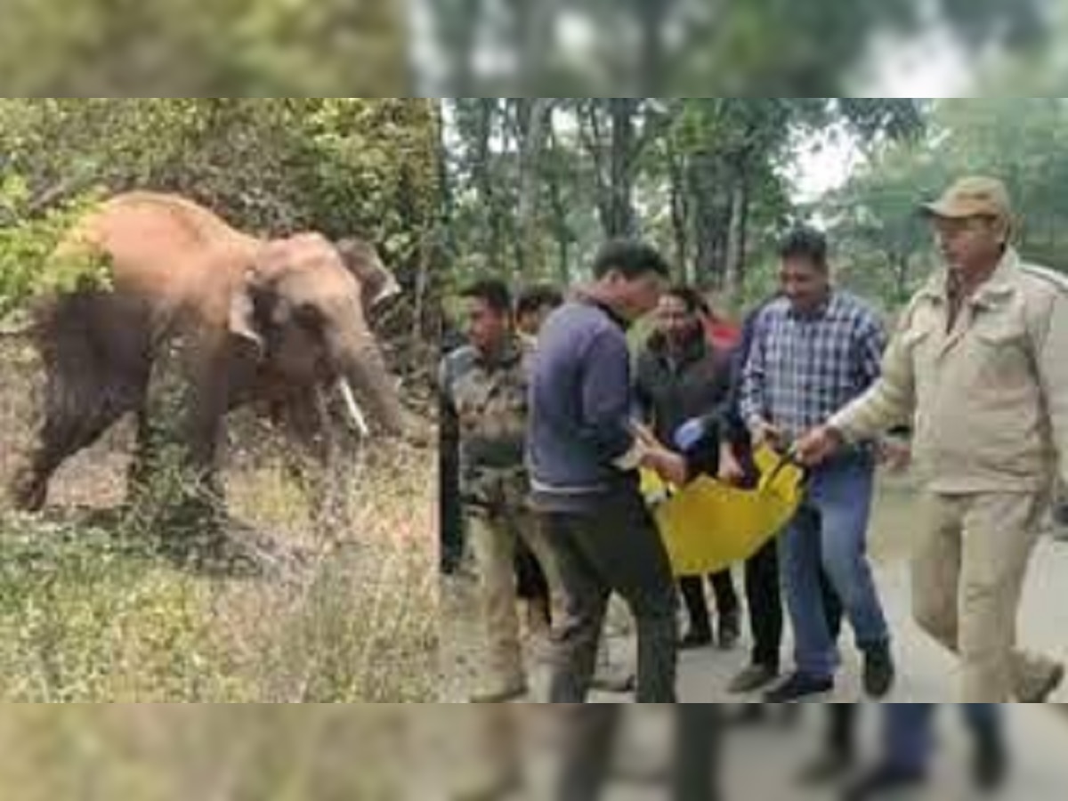 Elephant Attack : इलाके में हाथी का आतंक, 4 लोगों की मौत, इलाके में धारा 144 लागू