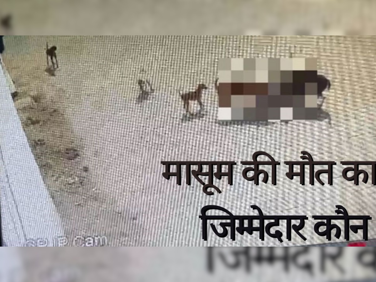 Hyderabad Dog Attack: 'आवारा आतंक' का‍ शिकार हुआ 4 साल का मासूम, अब इन सवालों का कौन देगा जवाब?
