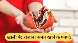 खाली पेट रोजाना अनार खाने से किडनी रहती है हेल्दी, बॉडी को मिलते हैं ये लाभ