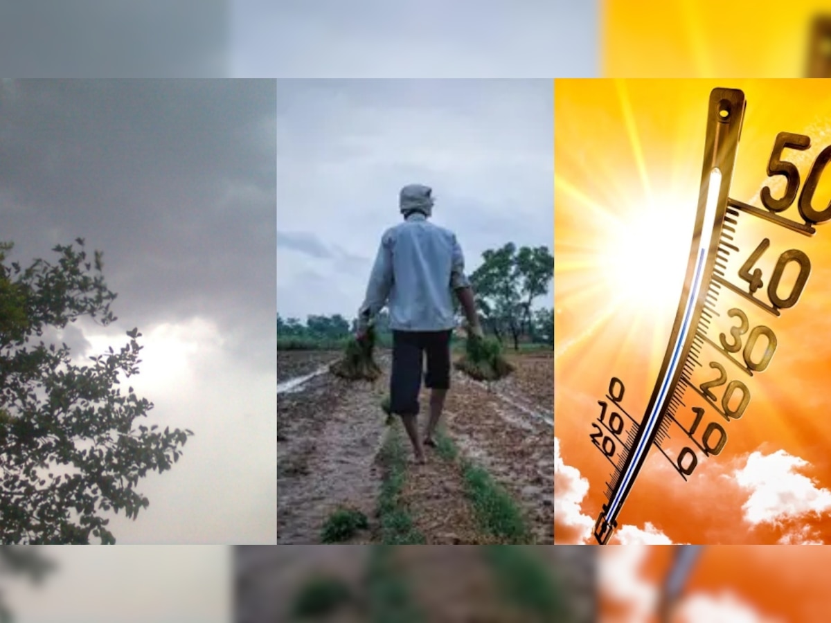 MP Weather Update: मध्य प्रदेश में गर्मी बढ़ी, अब यहां छाने वाले हैं बादल! किसानों को होगी समस्या