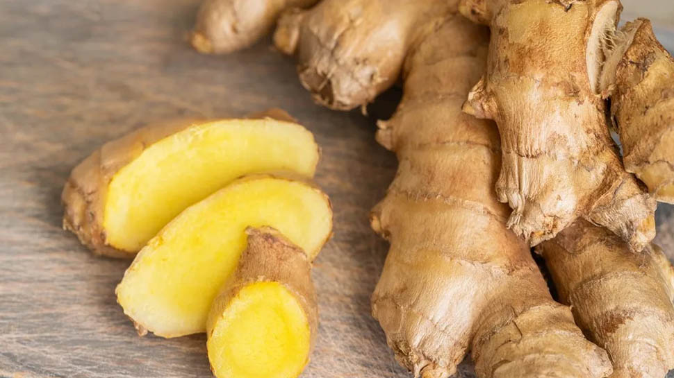 Ginger benefits for health stomach period pain and Ginger benefits for