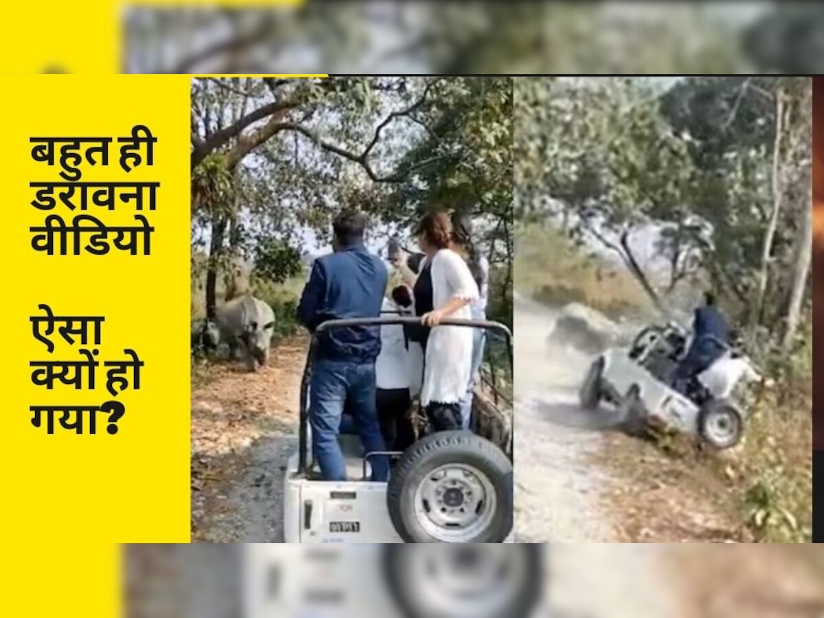 Rhino Video: गैंडे ने टूरिस्ट की गाड़ी को खदेड़ लिया..दोनों खाई में गिरे, सामने आया भयानक वीडियो