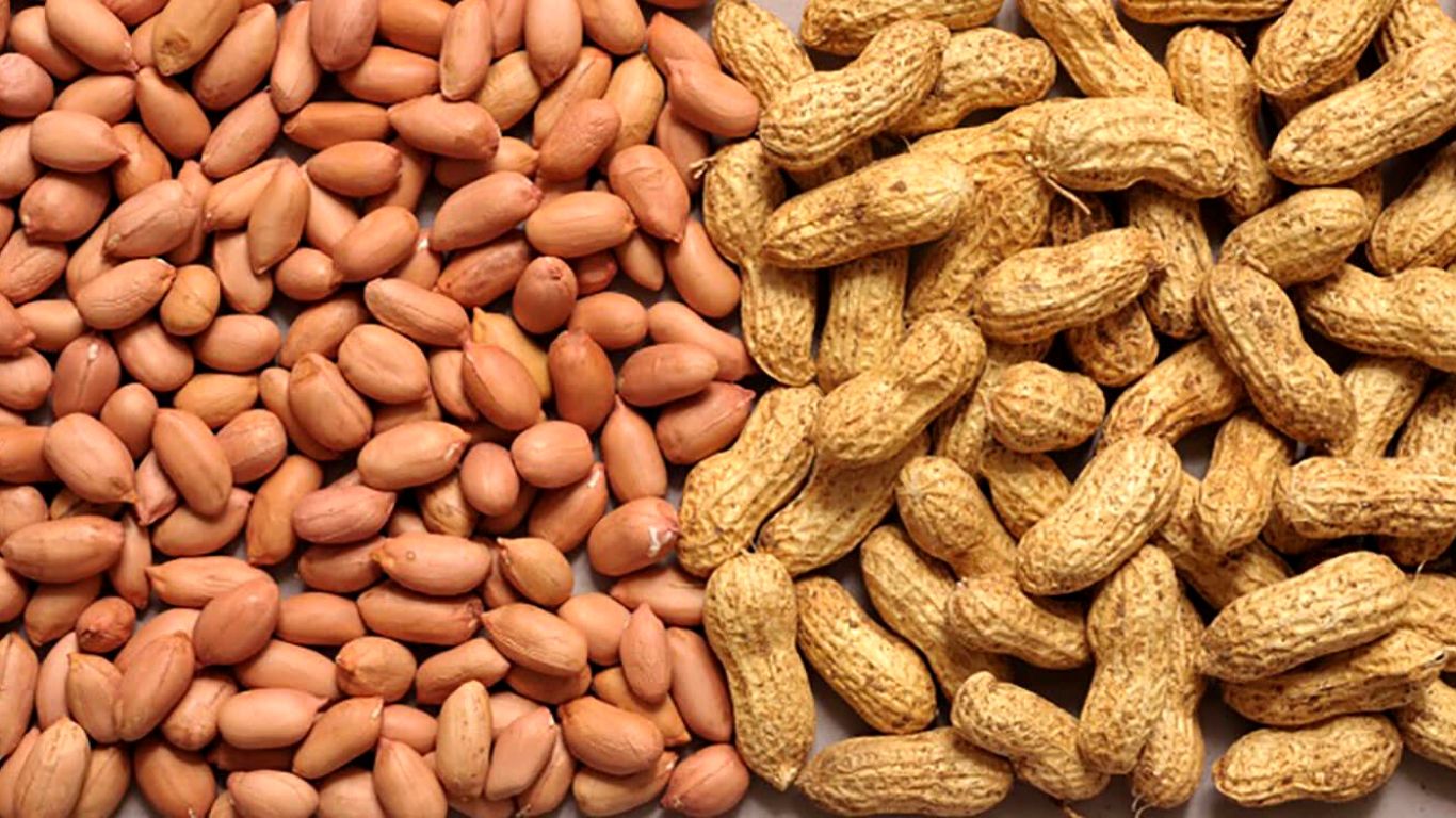 benefits-of-groundnuts-health-news-nutrition-good-for-heart-health