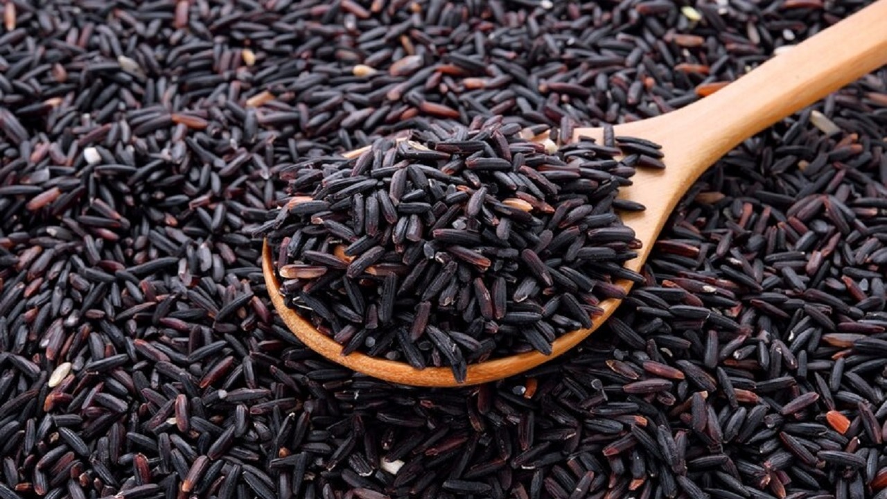 Black Rice Remedy: काले चावल के ये उपाय सभी बाधाओं से दिलाएंगे मुक्ति, अटके हुए काम होंगे पूरे