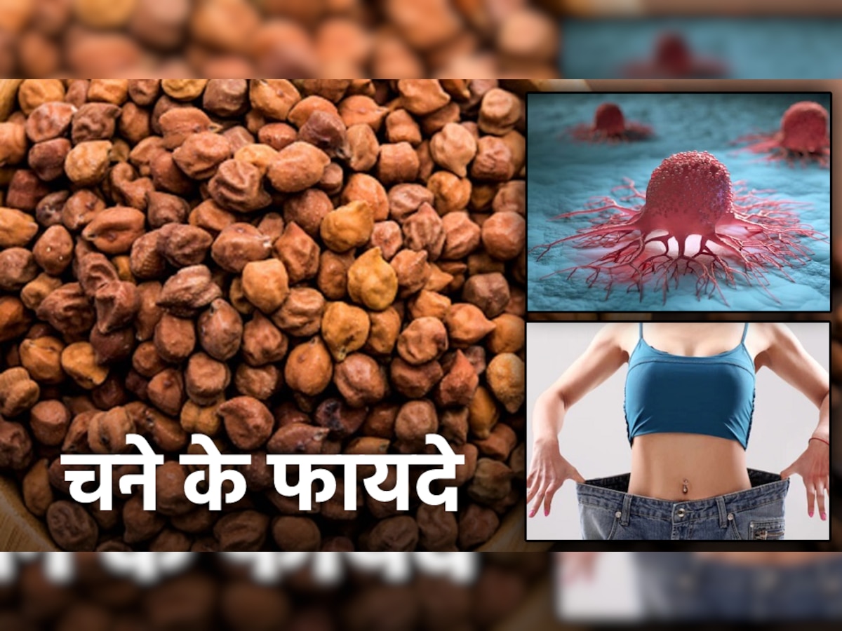 Chickpea Benefits: वेट लॉस ही नहीं, कैंसर के खतरे को भी कम करते हैं चने, इस तरह करें अपनी डाइट में शामिल