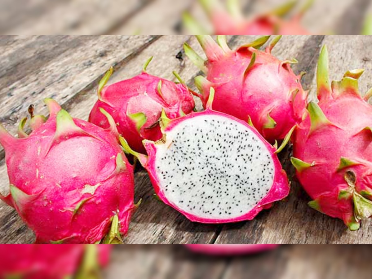 Dragon Fruit: ड्रैगन फ्रूट का हर दिन करें सेवन, शरीर से दूर रहेंगी कई बीमारियां!