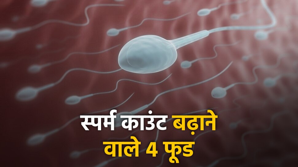 Increase sperm count by eating banana palak pumpkin seeds garlic