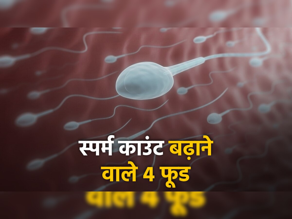 Increase Sperm Count: ये 4 चीजें तेजी से बढ़ाती हैं स्पर्म काउंट, आज ही करें इन्हें डाइट में शामिल और देखें कमाल