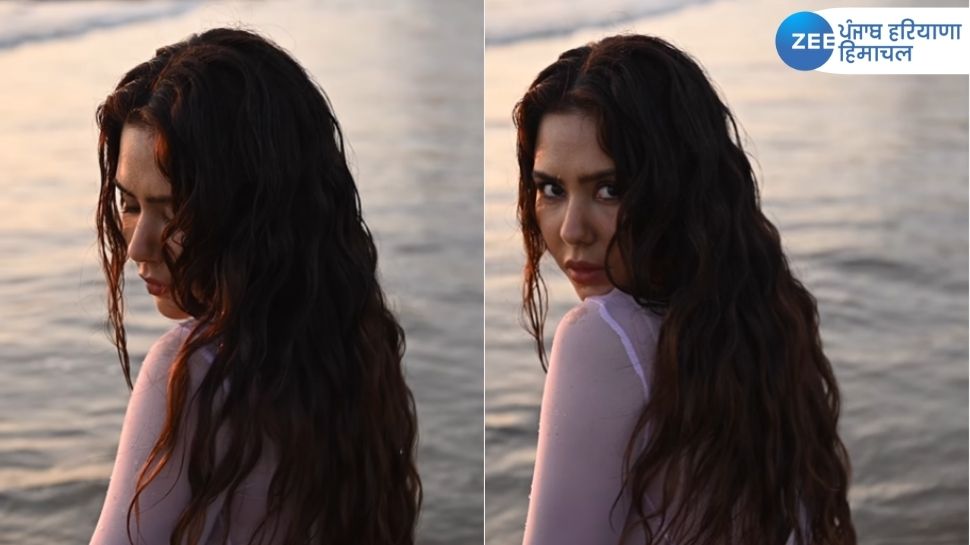 Sonam Bajwa hot photos