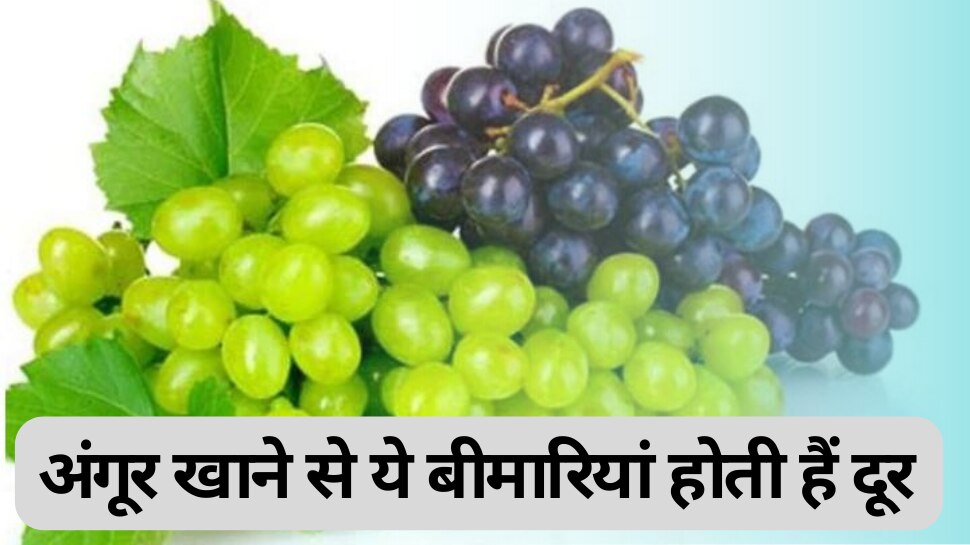 health tips eating grapes helps to get rid of cholesterol problem Grapes अंगूर खाने से
