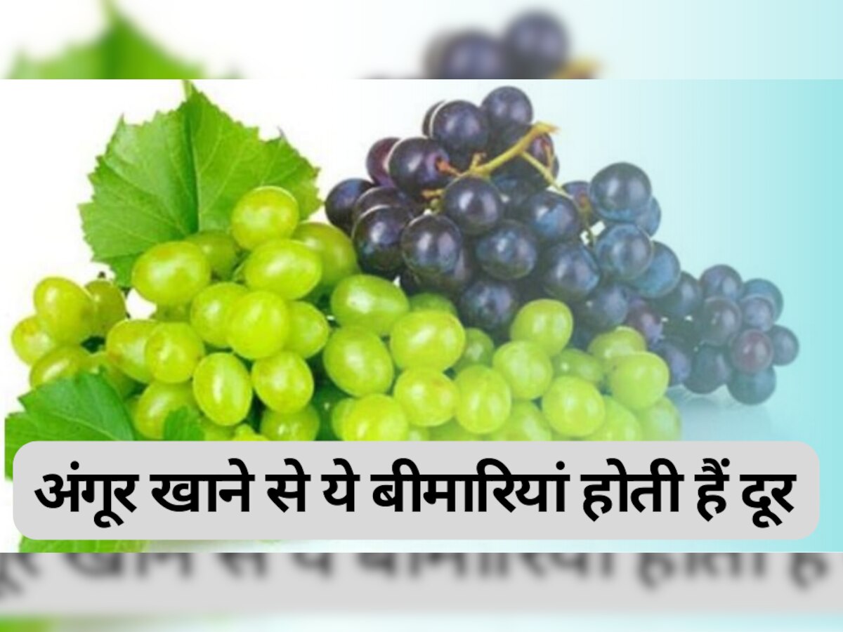 Grapes: अंगूर खाने से Cholesterol की समस्या से मिलता है छुटकारा, ये बीमारियां भी होती हैं दूर
