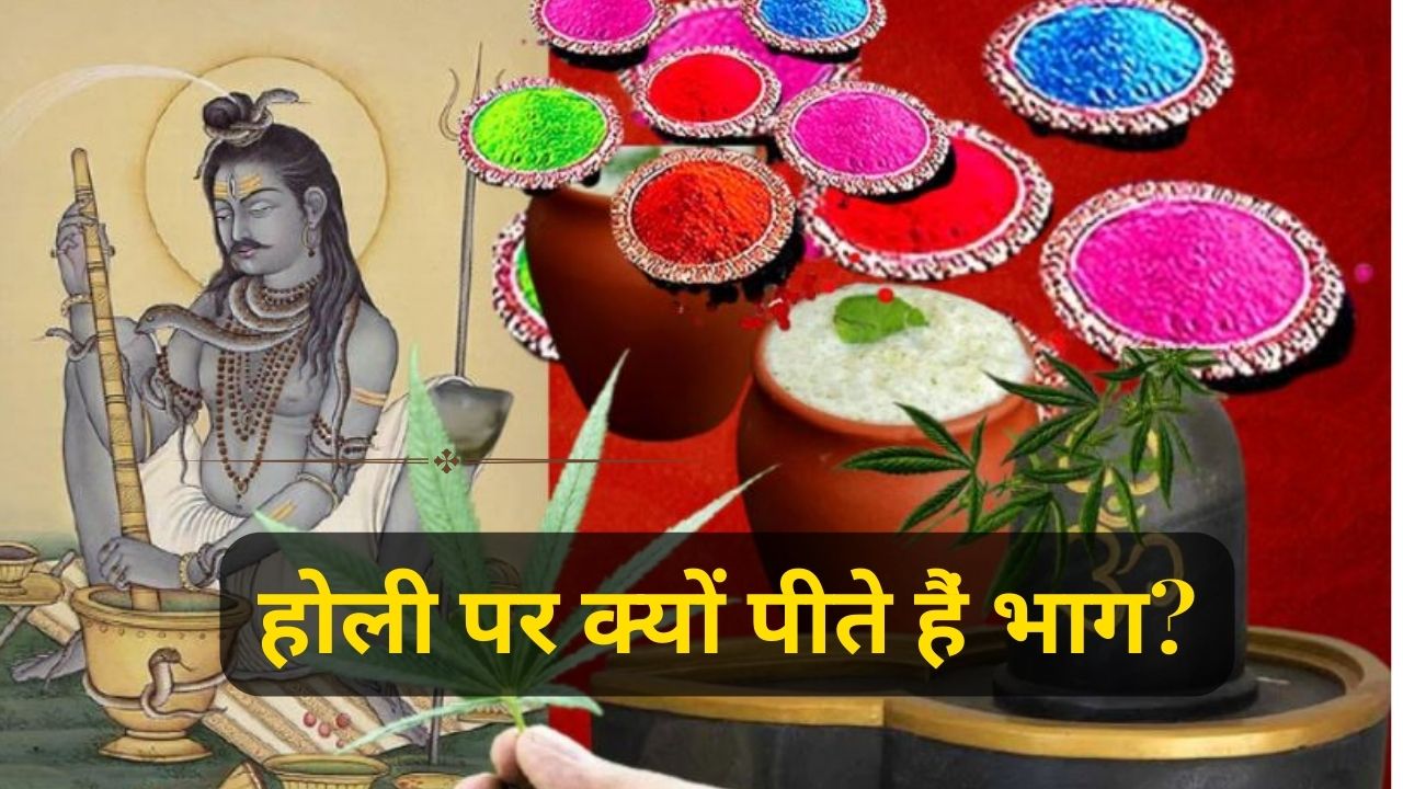 Why Shiva devotees drink cannabis on Holi there is special connection
