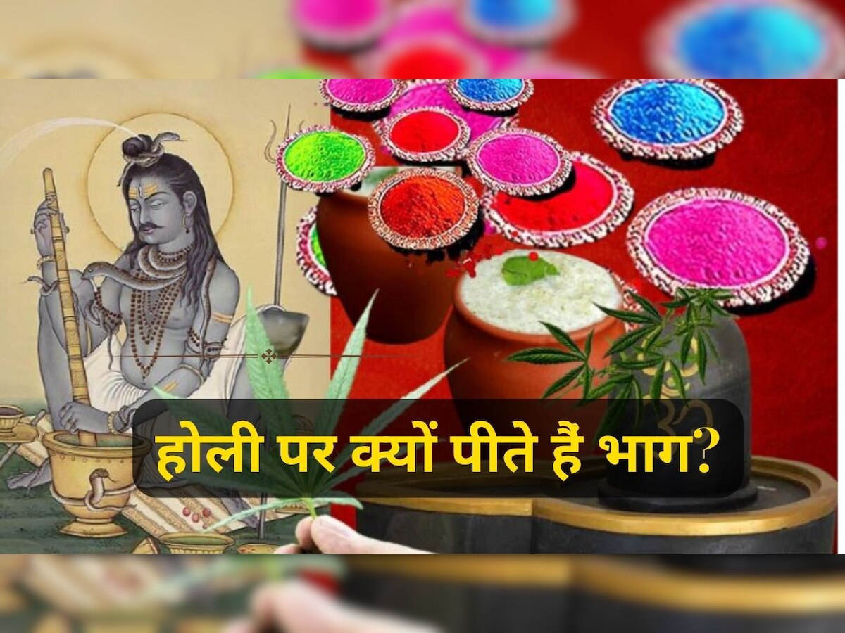 Why Shiva devotees drink cannabis on Holi there is special connection
