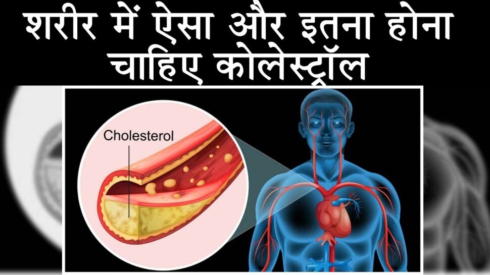 What is the normal level of cholesterol Know about LDL, HDL Cholesterol