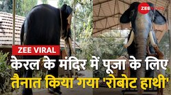 देश में पहली बार मंदिर में पूजा के लिए तैनात किया गया 'रोबोट हाथी'