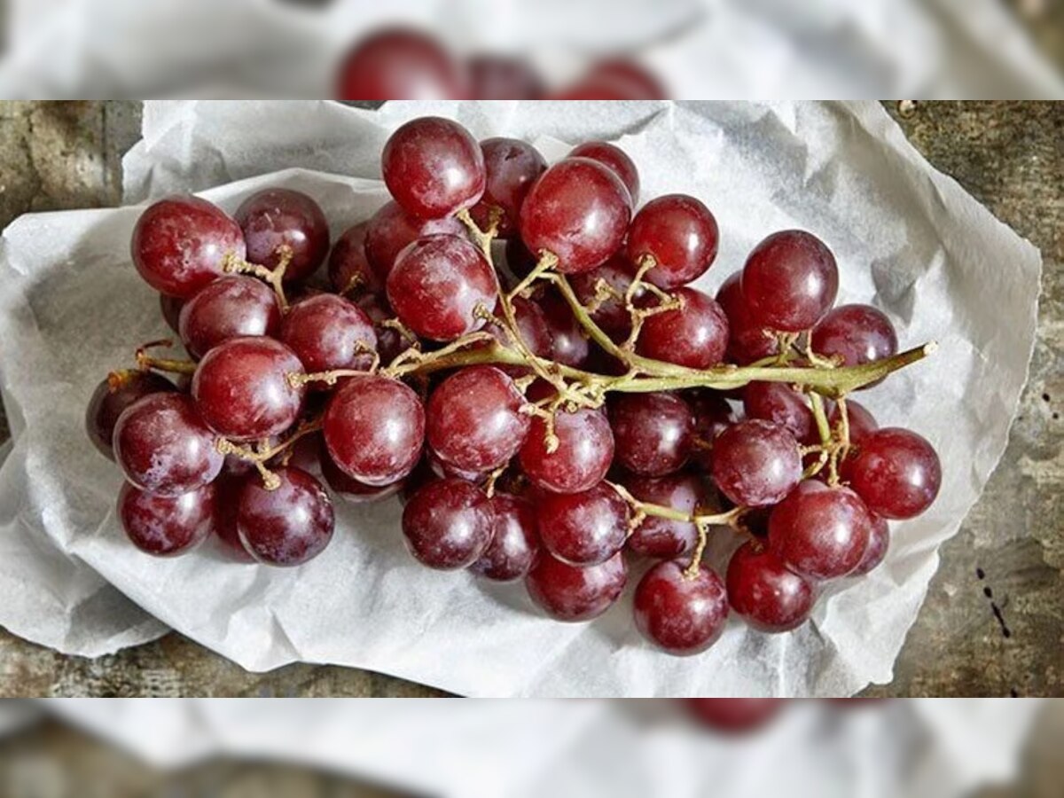 Benefits of Red Grapes: शरीर में कई बीमारियों को दूर रखने में मदद करता है अंगूर, खाने से पहले जान लें सही मौसम 