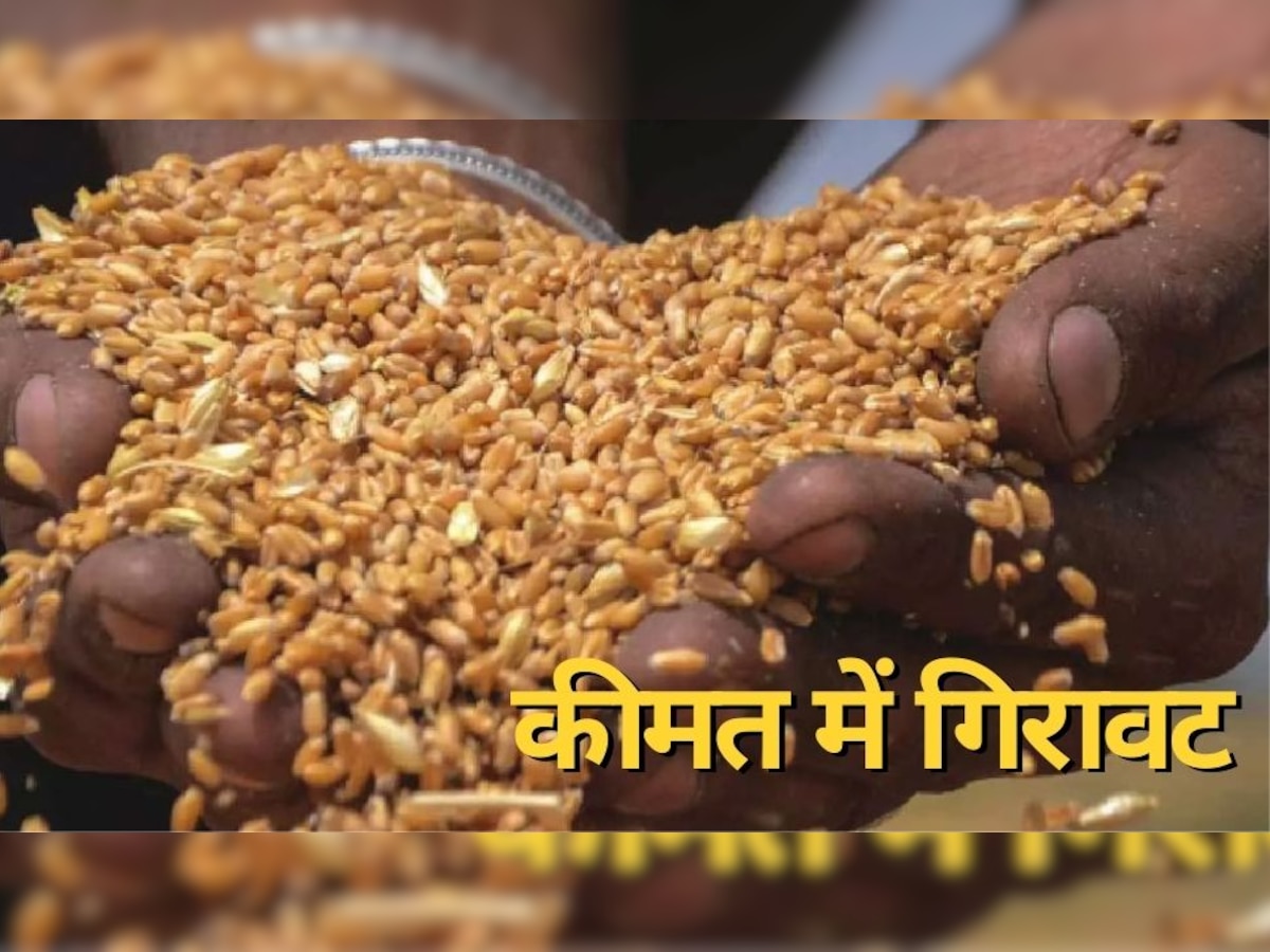 Wheat Price: महंगी गेहूं से आम आदमी को राहत, FCI के इस कदम से नीचे आईं कीमतें