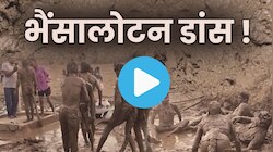 मांझी समाज की अनोखी परंपरा! फूल नहीं कीचड़ में लोटकर होता है बारातियों का स्वागत