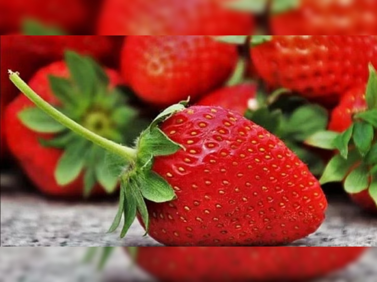 Strawberry Benefits: इम्यून सिस्टम को बढ़ाने में असरदार है स्ट्रॉबेरी का सेवन, जाने फायदे