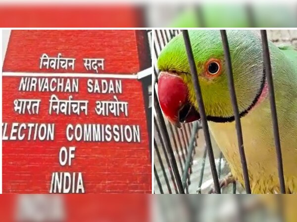 अलामती तस्वीर 