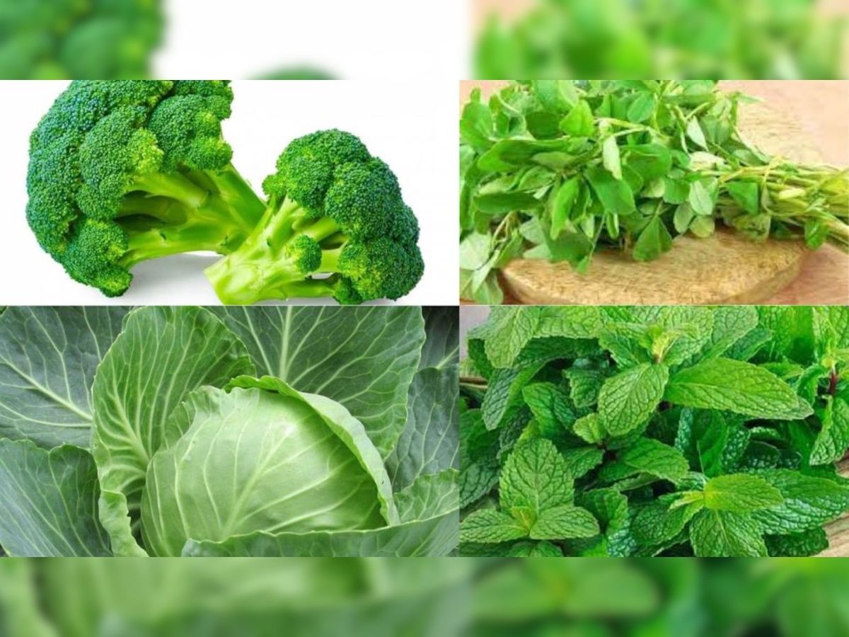 red green yellow fruits and vegetables more benefical for health know