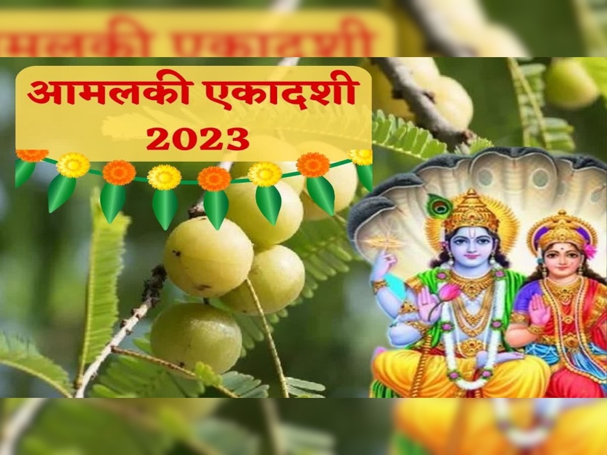 Amalaki Ekadashi 2023: आमलकी एकादशी का व्रत देता है सहस्त्र गोदान का फल, जानें क्यों की जाती है आंवले के पेड़ की पूजा!