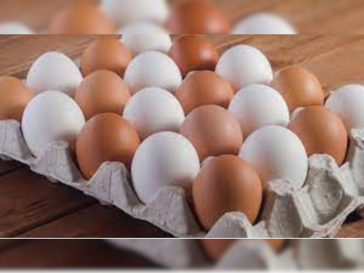 Egg Benefits : सफेद और ब्राउन अंडे पर दूर कर लें भ्रम, कौन सा अंडा ज्‍यादा पौष्टिक वैज्ञानिकों ने किया खुलासा
