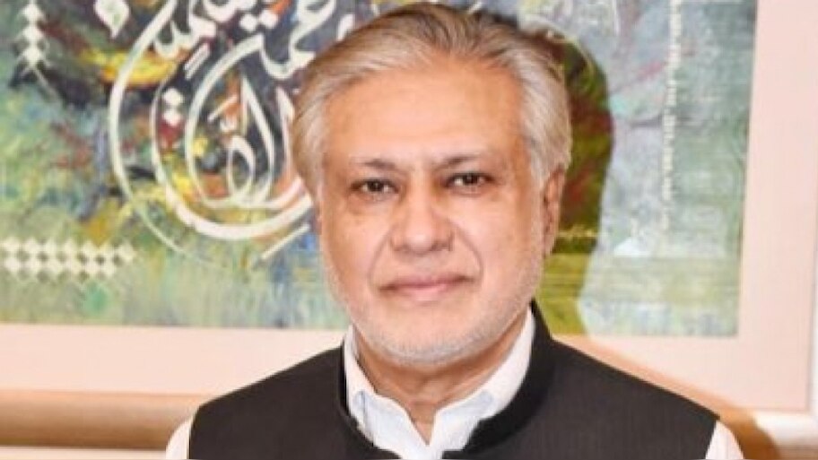 Pakistan Crisis: पाकिस्तान के वित्त मंत्री का बड़ा आरोप; हालात के लिए PTI को ठहराया ज़िम्मेदार