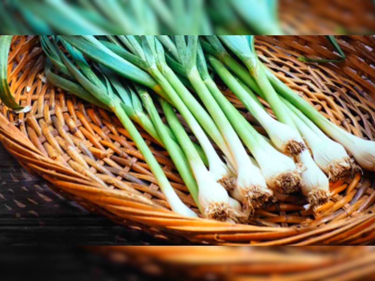 Green Garlic Benefits