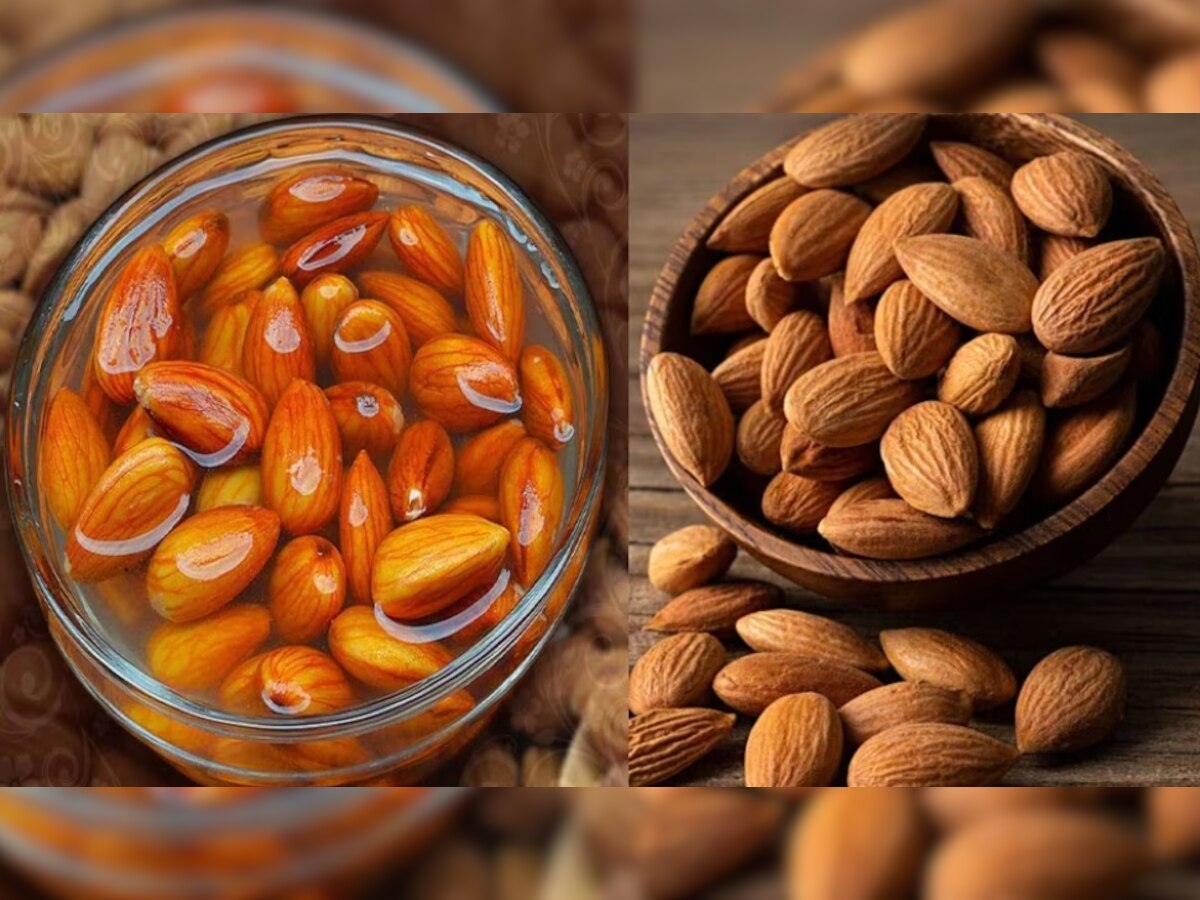 Side Effects of Almonds: ज्यादा बादाम खाना भी सेहत के लिए होता है नुकसान! जानें बादाम के साइड इफेक्ट