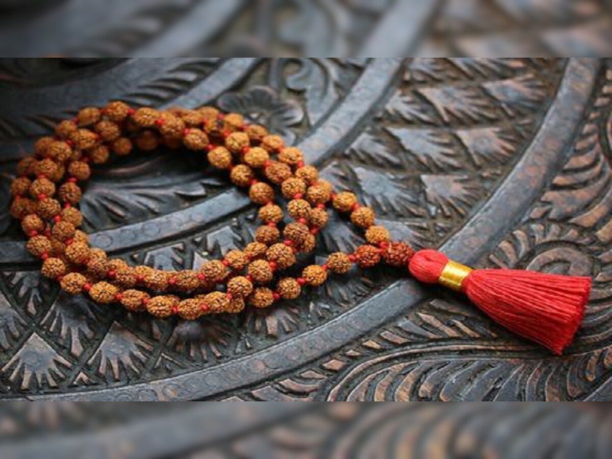 Rudraksha Benefits: भगवान शिव को प्रिय है रुद्राक्ष, बड़ी मुश्किल से मिलता है एक मुखी रुद्राक्ष