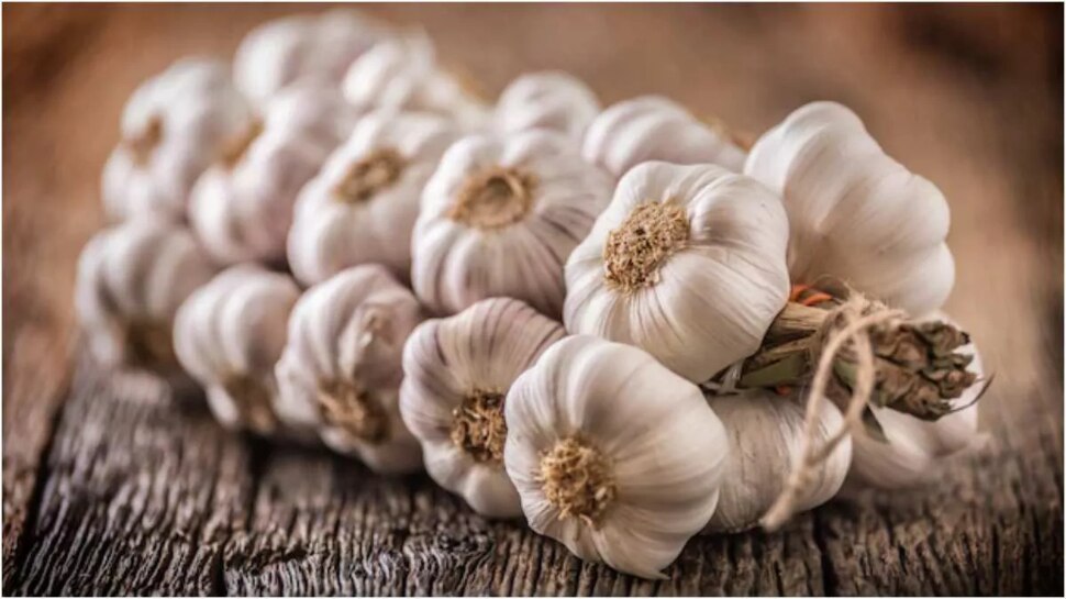 Garlic Side Effects Rasuna These people should not eat garlic otherwise