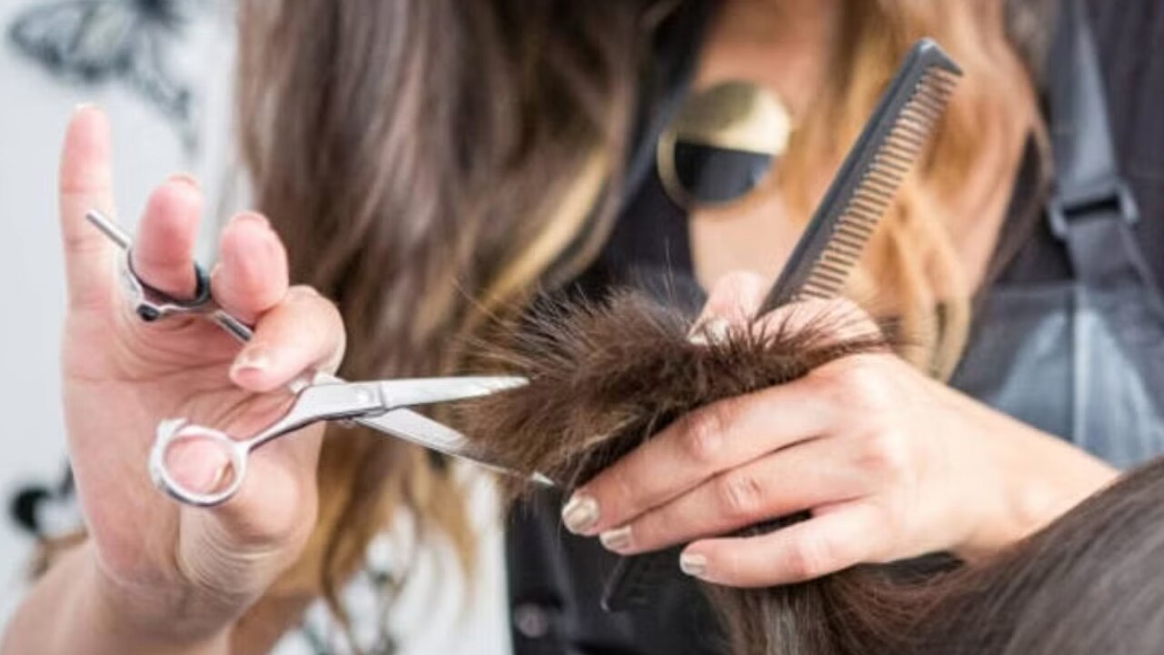Hair Care: दो मुंहे बालों के चक्कर में करवानी पड़ती है हेयर कटिंग तो करें ये घरेलू उपाय, रफनेस होगी दूर
