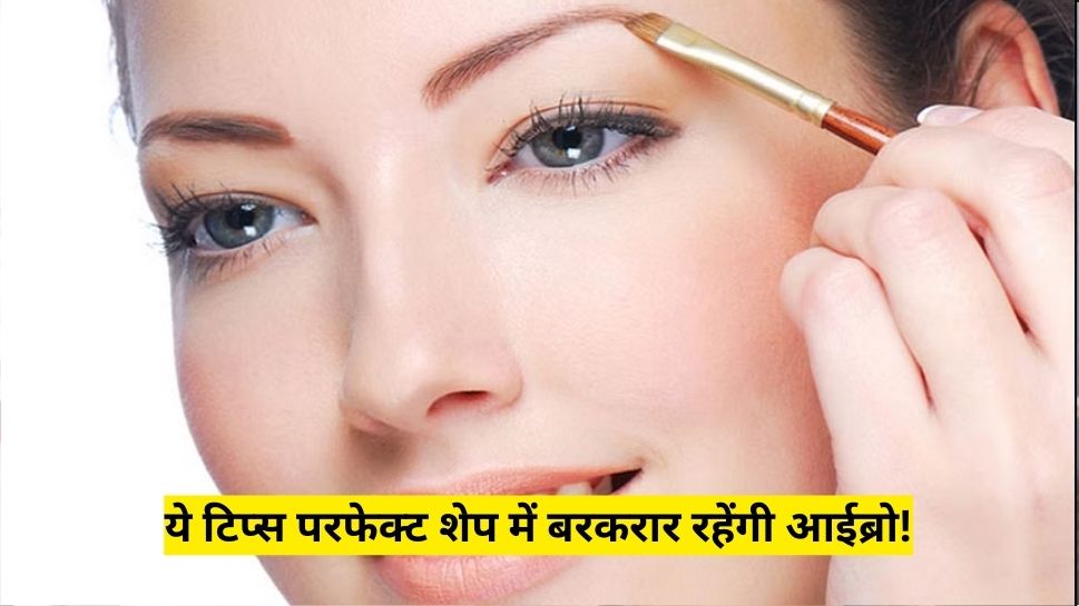 how to take care of eyebrows eyebrow care tips Hindi News, परफेक्ट