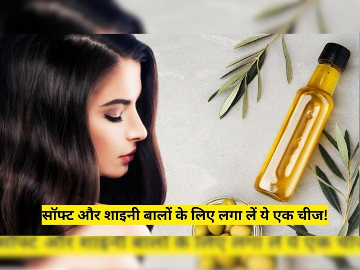 Frizzy Hair Solution: बालों में महंगे शैंपू की बजाय लगा लें ये चीज, बाल हो जाएंगे सॉफ्ट और शाइनी 