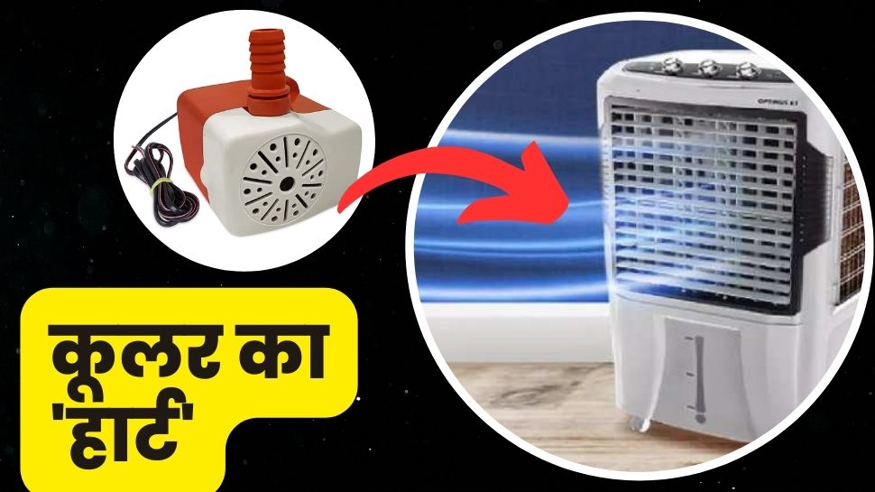 Cooler का 'हार्ट' होता है ये छोटू Pump, बर्फ जैसी ठंडक चाहिए तो इसे खरीदते समय ध्यान में रखें ये बातें Cooler का 'हार्ट' होता है ये छोटू Pump, बर्फ जैसी ठंडक चाहिए तो इसे खरीदते समय ध्यान में रखें ये बातें