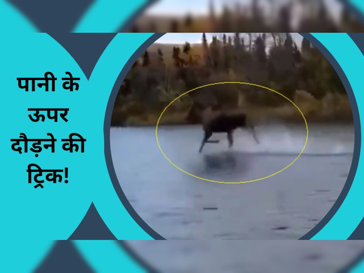 Running On Water: आप भी पानी के ऊपर दौड़ सकते हैं! ट्रिक पता चल गई है..वीडियो भी आया सामने