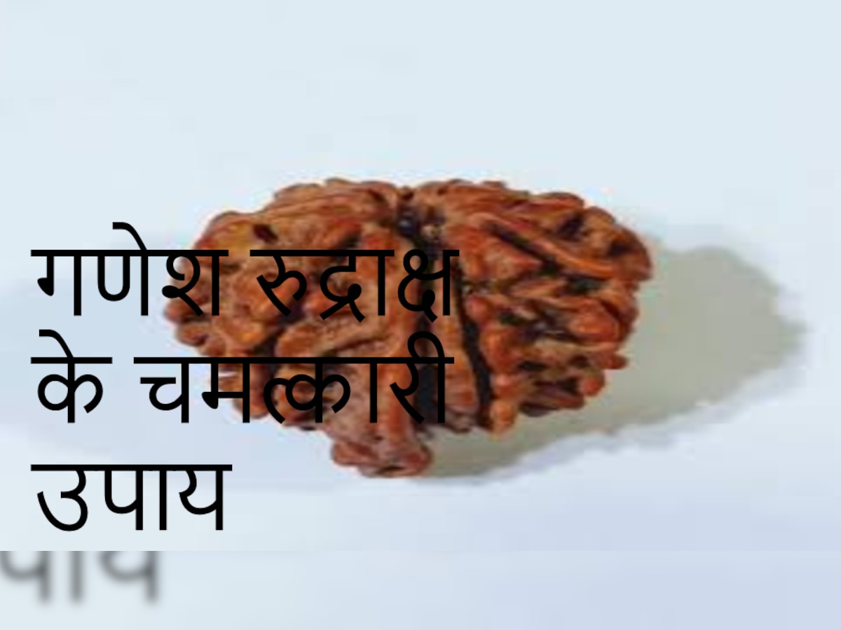 फाइल फोटो