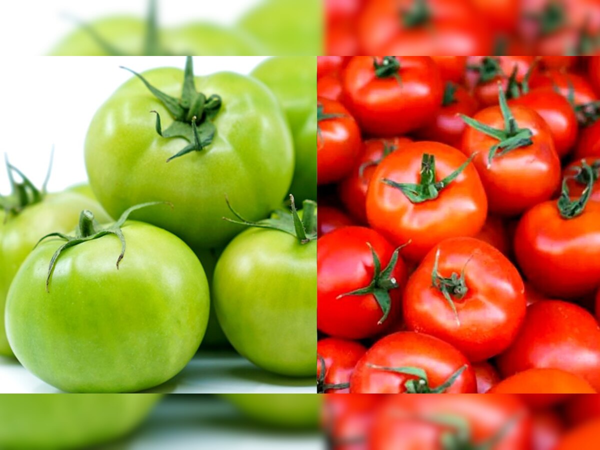 Benefits of Green and Red Tomato: जानिए हरे और लाल टमाटर के फायदे, दोनों में कौन सा हैं ज्यादा हेल्दी