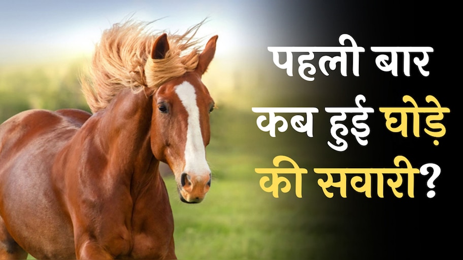 इंसानों ने पहली बार घोड़ों की सवारी कब की? शोध में हुआ खुलासा