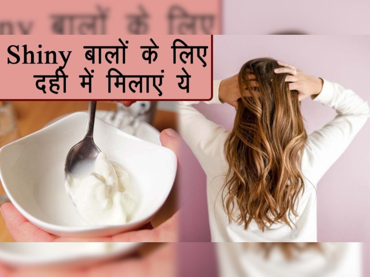 Hair Care Tips: हफ्ते में 2 बार बालों में लगाकर सोएं दही, हर कोई पूछेगा ब्यूटीफुल हेयर का राज