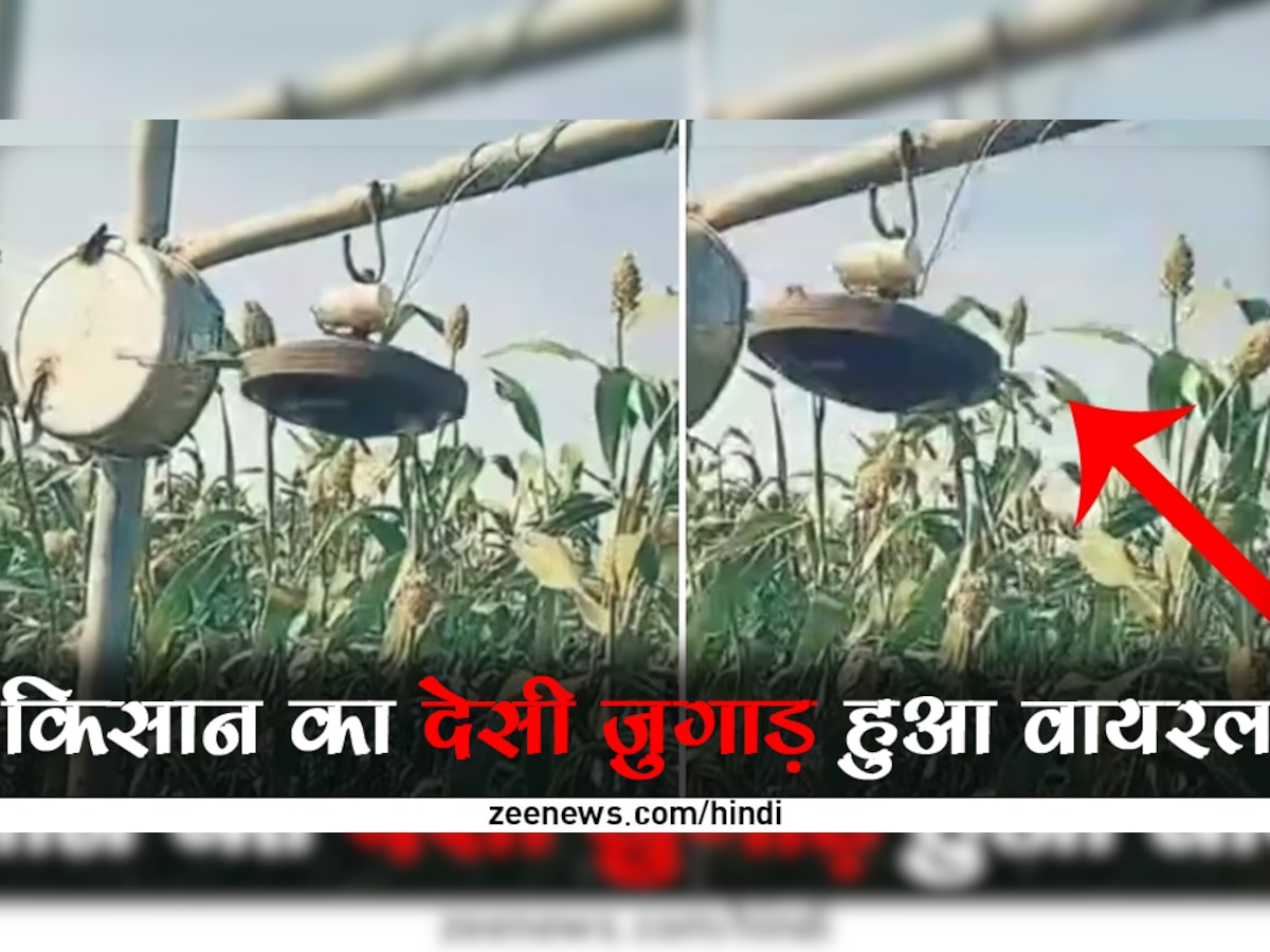 Desi Jugaad: किसान ने खेत से चिड़ियों को भगाने का लगाया ऐसा ताबड़तोड़ जुगाड़, ट्रिक हुआ वायरल