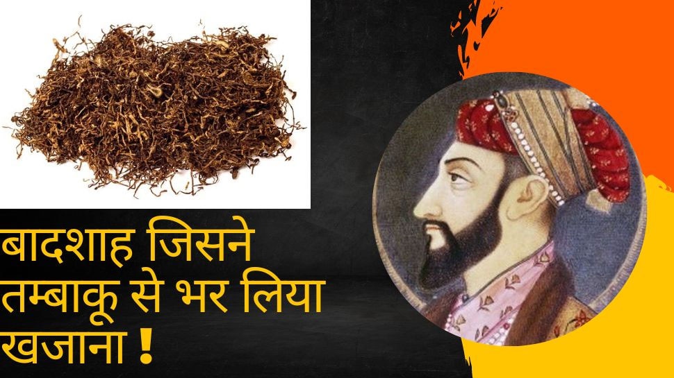 Tobacco History: भारत में कब और कैसे आई तंबाकू, करोड़ों खाने वालों को भी नहीं मालूम होगा मुगल दौर का ये किस्सा