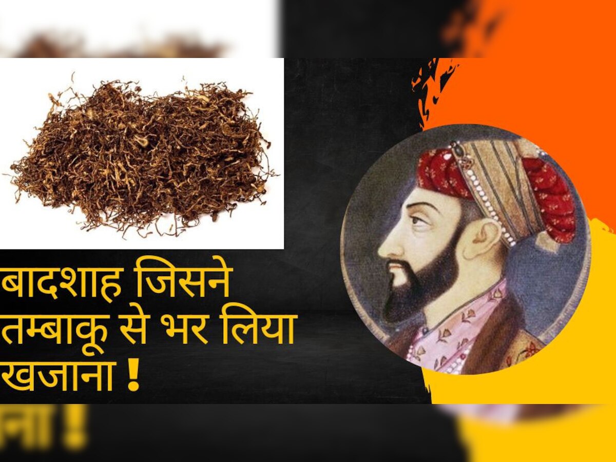 मुगल बादशाह औरंगजेब और तम्बाकू का किस्सा